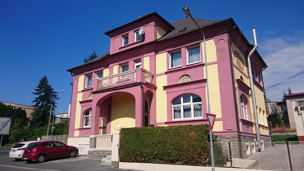 Pension Viola Domažlice Екстериор снимка